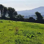 Brigid's * Weatherstown