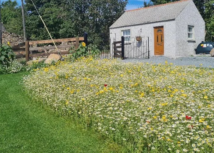 Brigid'S Cottage Holiday home *