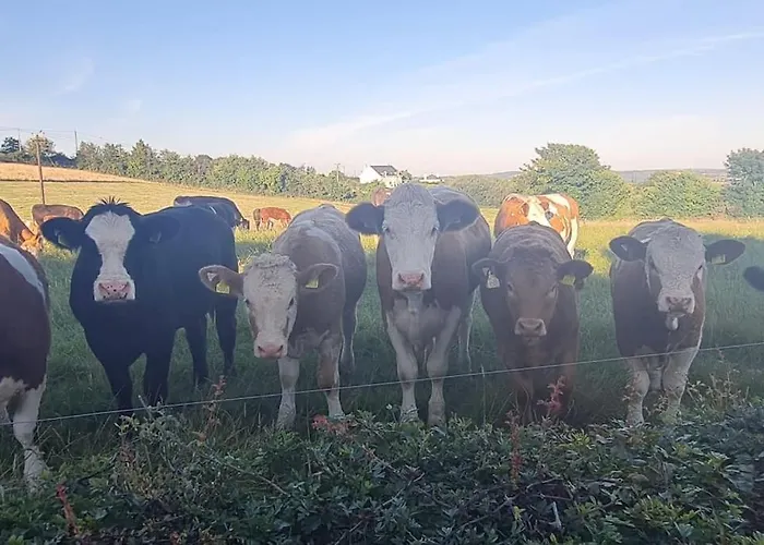 Brigid'S Cottage * Weatherstown